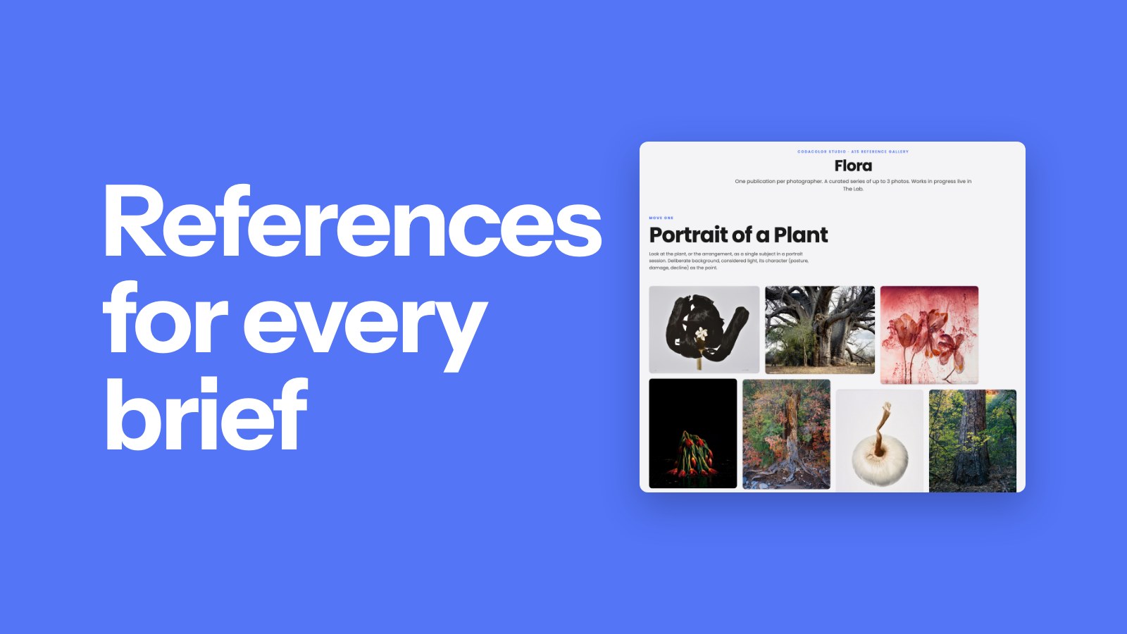 References for every brief. The reference gallery that comes with the Flora assignment.